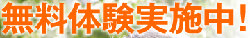 無料体験実施中！